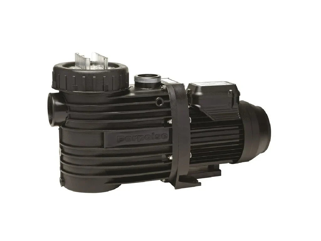 Pool Pumps
